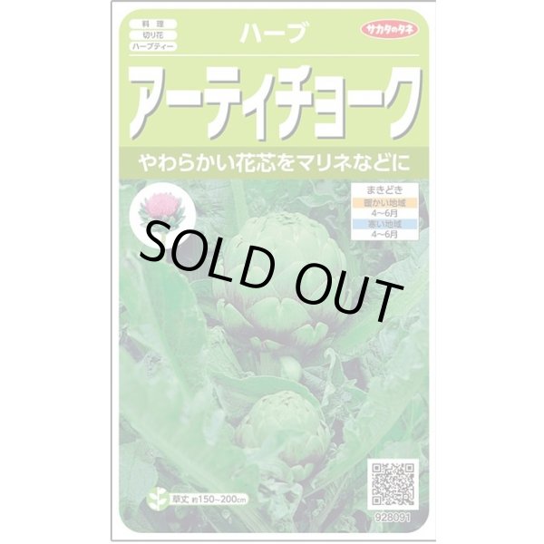 画像1: [ハーブの種] アーティチョーク 17粒 (株)サカタのタネ 実咲250(003192) (1)
