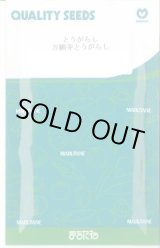 画像: 送料無料　[とうがらし]　万願寺とうがらし　20ml　丸種(株)