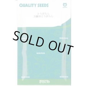 画像: 送料無料　[とうがらし]　万願寺とうがらし　20ml　丸種(株)