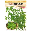画像2: [枝豆]　鈴だるま　100粒　カネコ種苗（株） (2)