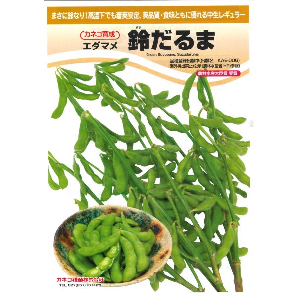 画像2: [枝豆]　鈴だるま　100粒　カネコ種苗（株） (2)