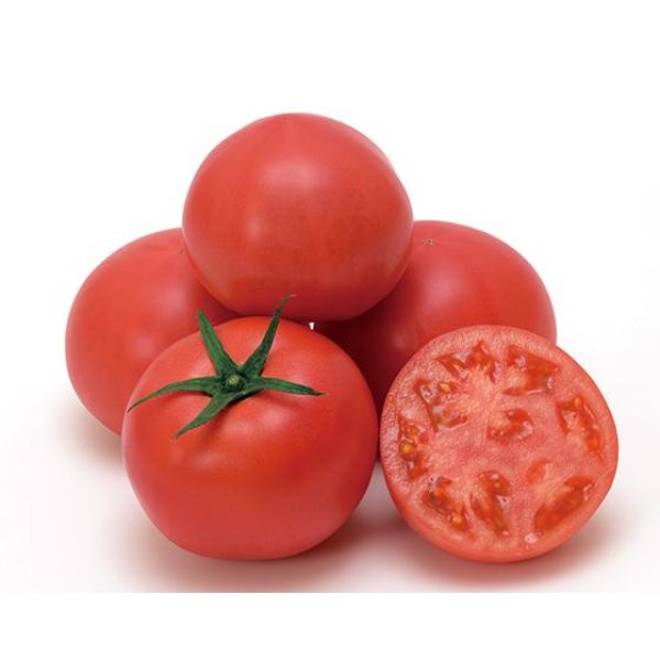 画像2: 送料無料　[トマト]　大玉トマト　はれぞら　1000粒　ヴィルモランみかど（株） (2)