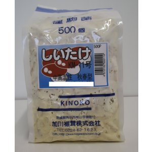 画像: [きのこ菌]　しいたけ菌　KM-11号（秋春型）　500駒　加川椎茸（株）