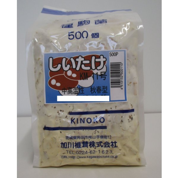 画像1: [きのこ菌]　しいたけ菌　KM-11号（秋春型）　500駒　加川椎茸（株） (1)