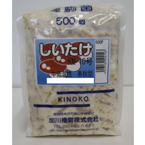 画像: [きのこ菌]　しいたけ菌　KM-10号（春秋） 500駒　加川椎茸（株）