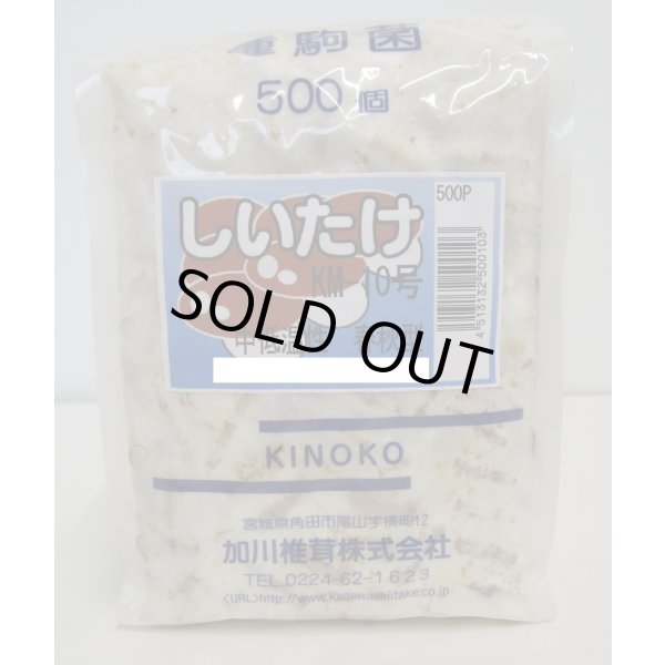 画像1: [きのこ菌]　しいたけ菌　KM-10号（春秋） 500駒　加川椎茸（株） (1)