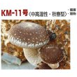画像2: [きのこ菌]　しいたけ菌　KM-11号（秋春型）　500駒　加川椎茸（株） (2)