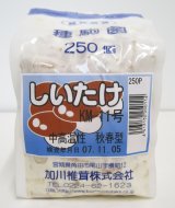 画像: [きのこ菌]　しいたけ菌　KM-11号（秋春型）　250駒　加川椎茸（株）