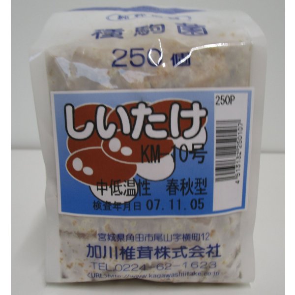 画像1: [きのこ菌]　しいたけ菌　KM-10号（春秋）250駒　加川椎茸（株） (1)