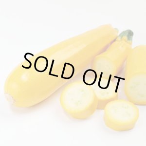 画像: 送料無料　[ズッキーニ]　イエローヤングマン　100粒　(株)サカタのタネ