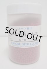 画像: [ねぎ]　項羽一本太　ペレット種子　5千粒　（株）トーホク　