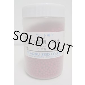 画像: [ねぎ]　項羽一本太　ペレット種子　5千粒　（株）トーホク　