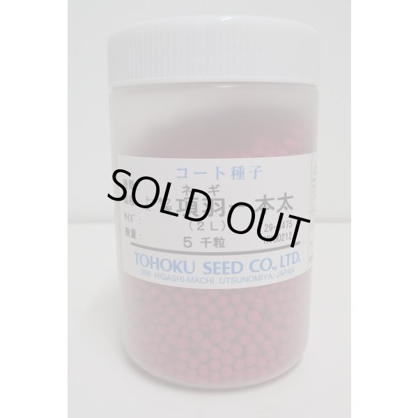 画像1: [ねぎ]　項羽一本太　ペレット種子　5千粒　（株）トーホク　 (1)