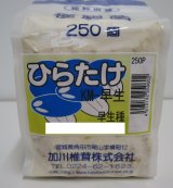 画像: [きのこ菌]　ひらたけ　KM早生（種駒）250駒　加川椎茸（株）