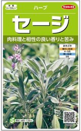画像: 送料無料　[ハーブの種]　セージ　約180粒　(株)サカタのタネ　実咲（003182）