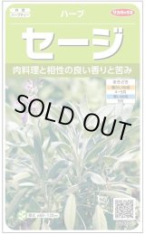 画像: 送料無料　[ハーブの種]　セージ　約180粒　(株)サカタのタネ　実咲（003182）
