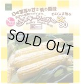 画像: [とうもろこし]　ミルキーシュガーバイカラー80　2000粒　トキタ種苗(株)