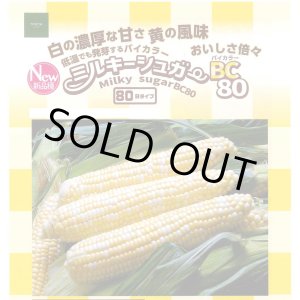 画像: [とうもろこし]　ミルキーシュガーバイカラー80　2000粒　トキタ種苗(株)