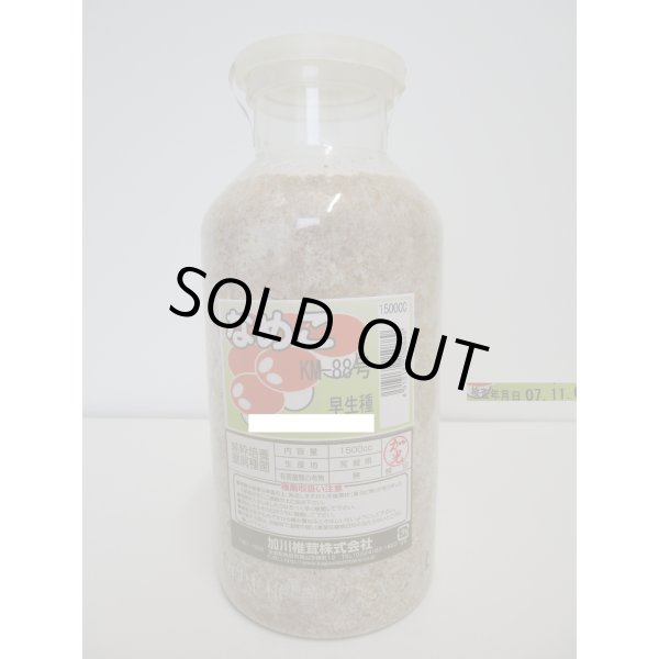 画像1: [きのこ菌]　なめこ菌　KM-88号　種菌（オガクズ）　1500cc　加川椎茸（株） (1)