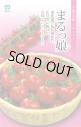 画像: 送料無料　[トマト/ミニトマト]　ミニトマト　まるっ娘　100粒　丸種（株）