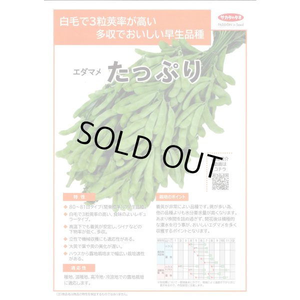 画像2: 送料無料　[枝豆]　たっぷり　33ml（約66粒） （株）サカタのタネ実咲350（107806） (2)