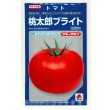画像1: 送料無料 [トマト/桃太郎系]桃太郎ブライト 1000粒 タキイ種苗(株) (1)
