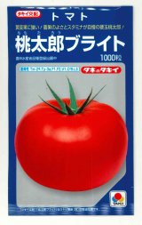 画像: 送料無料 [トマト/桃太郎系]桃太郎ブライト 1000粒 タキイ種苗(株)
