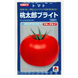 画像: 送料無料 [トマト/桃太郎系]桃太郎ブライト 1000粒 タキイ種苗(株)