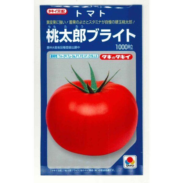 画像1: 送料無料 [トマト/桃太郎系]桃太郎ブライト 1000粒 タキイ種苗(株) (1)