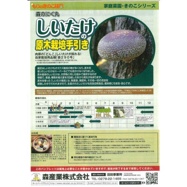 画像2: [きのこ菌]　しいたけ菌(肉丸)1000個入り (2)