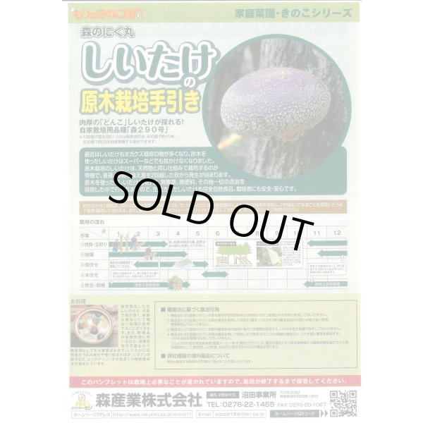 画像2: [きのこ菌]　しいたけ菌(肉丸)1000個入り (2)