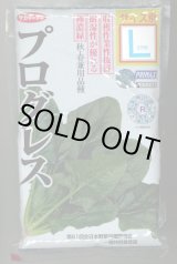 画像: [ほうれんそう]　プログレス　種子サイズ：L　2万粒　（株）サカタのタネ