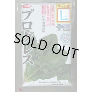 画像: [ほうれんそう]　プログレス　種子サイズ：L　2万粒　（株）サカタのタネ