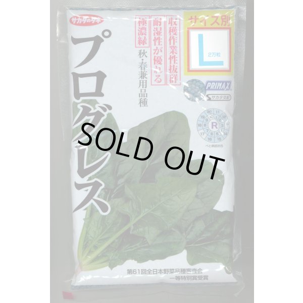画像1: [ほうれんそう]　プログレス　種子サイズ：L　2万粒　（株）サカタのタネ (1)