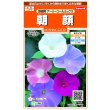 画像1: 送料無料　花の種　朝顔　垣根用　アーリーコールミックス　約8粒（株）サカタのタネ　実咲200（026306） (1)