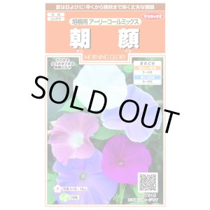 画像: 送料無料　花の種　朝顔　垣根用　アーリーコールミックス　約8粒（株）サカタのタネ　実咲200（026306）