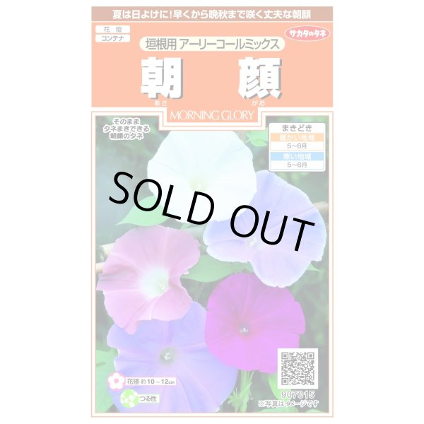 画像1: 送料無料　花の種　朝顔　垣根用　アーリーコールミックス　約8粒（株）サカタのタネ　実咲200（026306） (1)