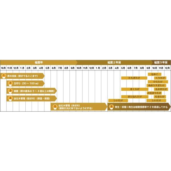 画像5: [きのこ菌]　なめこ菌　KM-88号　種菌（オガクズ）　1500cc　加川椎茸（株） (5)