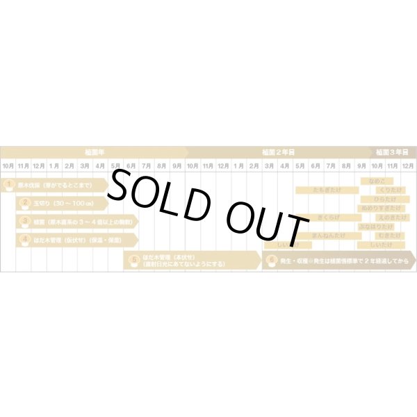 画像5: [きのこ菌]　なめこ菌　KM-88号　種菌（オガクズ）　1500cc　加川椎茸（株） (5)