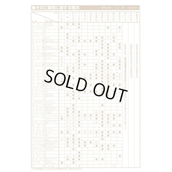 画像6: [きのこ菌]　ひらたけ　KM早生（オガクズ）1500cc　加川椎茸（株） (6)