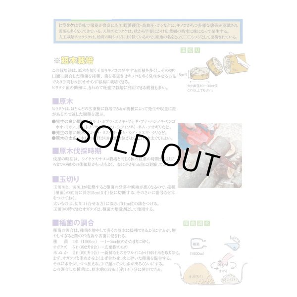 画像2: [きのこ菌]　なめこ菌　KM-88号　種菌（オガクズ）　1500cc　加川椎茸（株） (2)