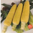 画像1: [とうもろこし]　あまいんですパワー85　2000粒　渡辺農事(株) (1)
