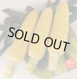 画像: [とうもろこし]　あまいんですパワー85　200粒　渡辺農事(株)