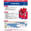 画像2: 送料無料　[トマト/ミニトマト]　TYほれまる　500粒　渡辺農事（株） (2)