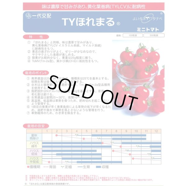画像2: 送料無料　[トマト/ミニトマト]　TYほれまる　500粒　渡辺農事（株） (2)
