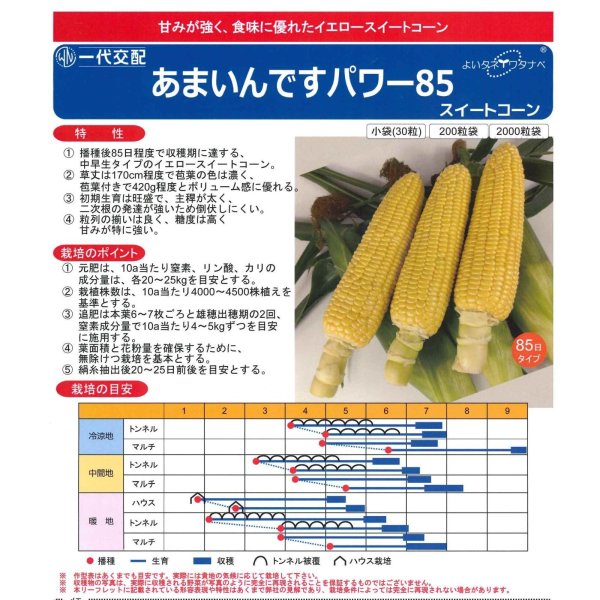 画像3: [とうもろこし]　あまいんですパワー85　200粒　渡辺農事(株) (3)
