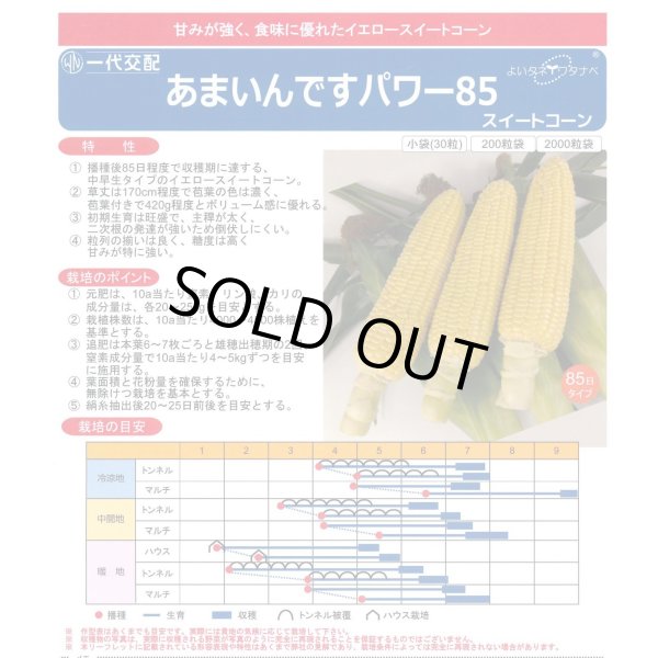画像2: [とうもろこし]　あまいんですパワー85　2000粒　渡辺農事(株) (2)