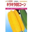 画像1: [とうもろこし]　キラキラコーン85　2000粒　カネコ種苗（株） (1)