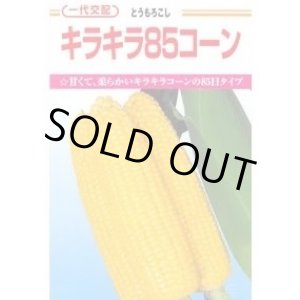 画像: [とうもろこし]　キラキラコーン85　2000粒　カネコ種苗（株）