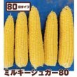画像1: [とうもろこし]　ミルキーシュガー80　2000粒　トキタ種苗(株) (1)